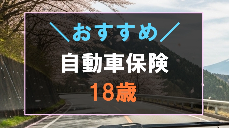 18歳におすすめな自動車保険